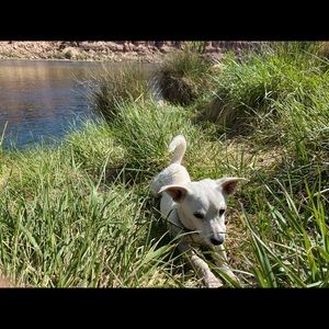 Meet your Posher, Sheldon